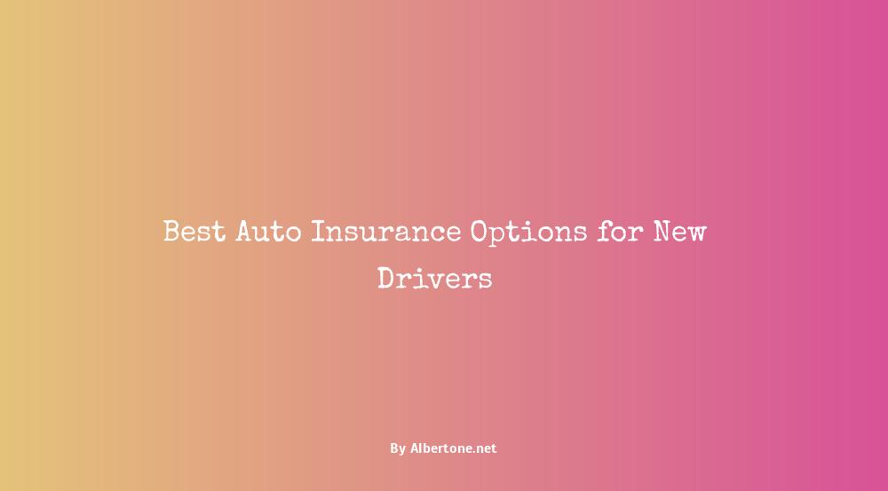 best auto insurance for new driver