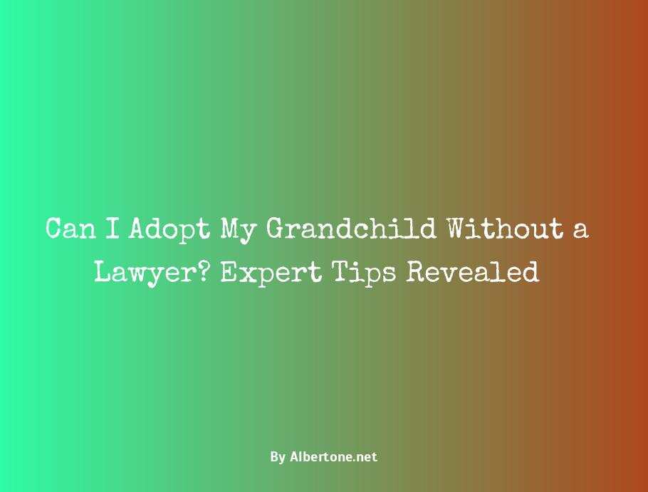 can i adopt my grandchild without a lawyer