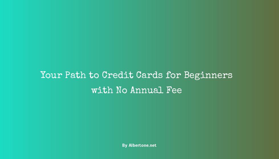 credit cards for beginners with no annual fee