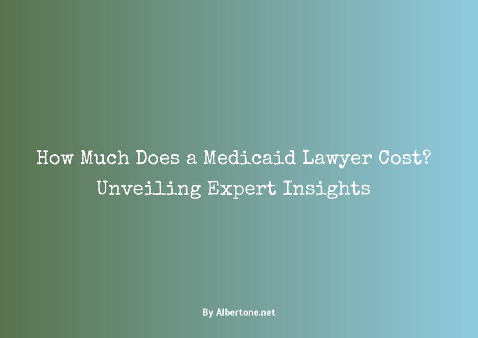 how much does a medicaid lawyer cost