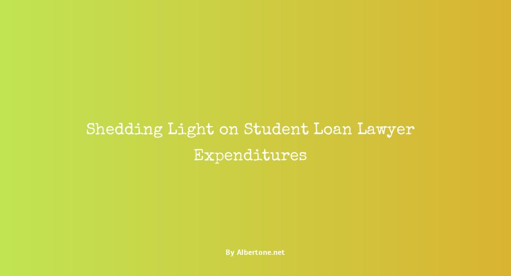 how much does a student loan lawyer cost