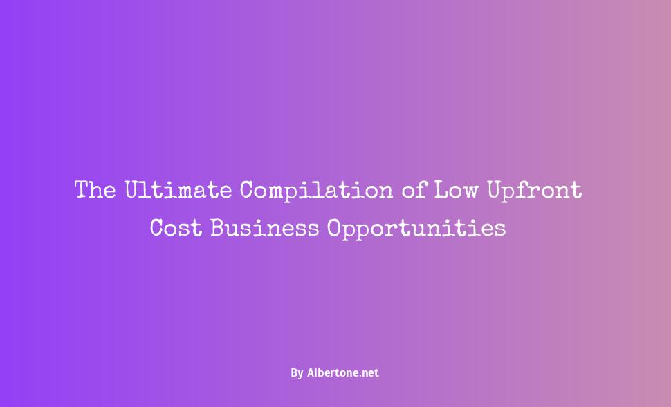 low upfront cost business ideas