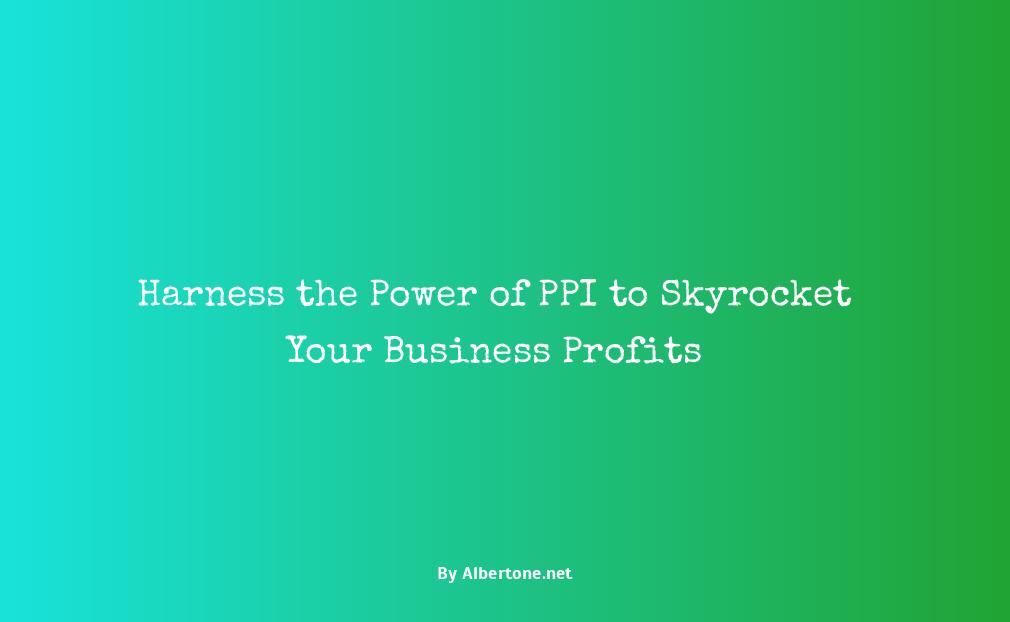 ppi meaning in business