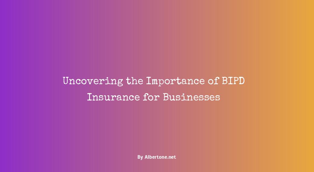 what is bipd insurance