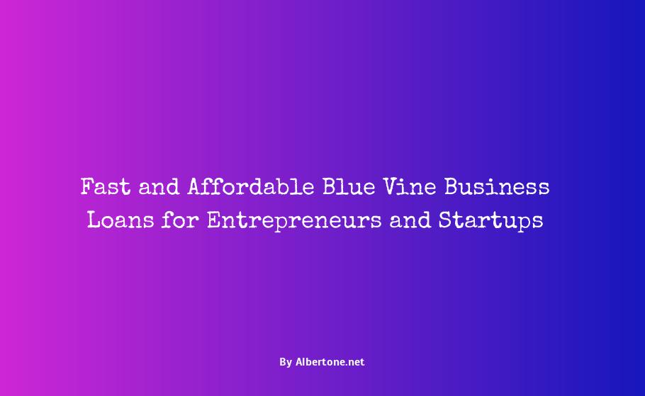 blue vine business loans