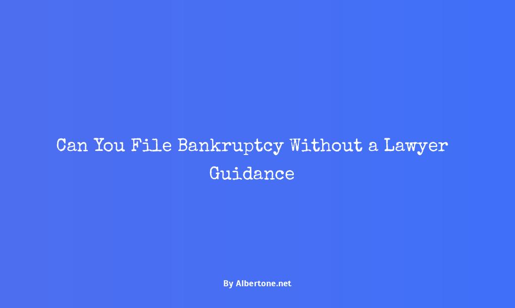 can you file bankruptcy without a lawyer