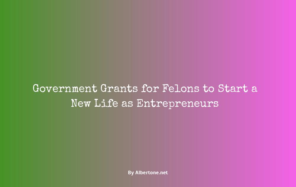 government grants for felons to start a business