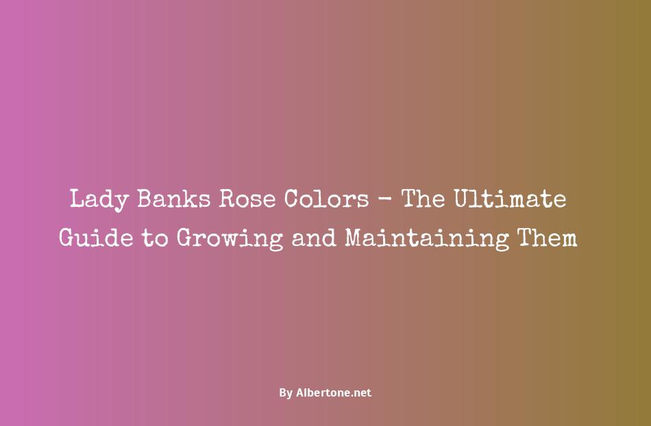 lady banks rose colors