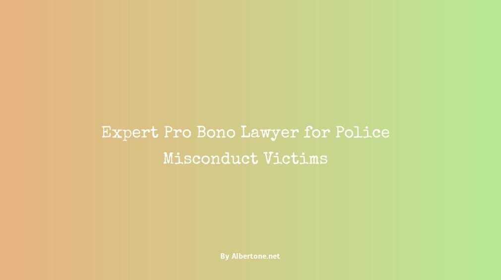 lawyer for police misconduct pro bono