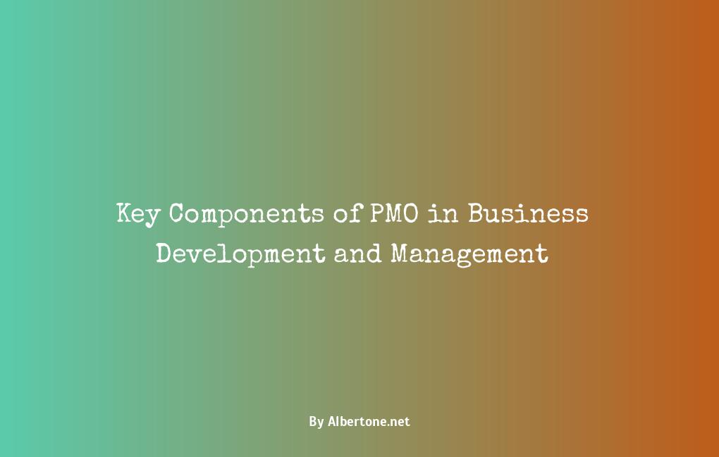 what does pmo stand for in business