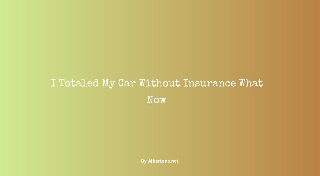 i totaled my car without insurance