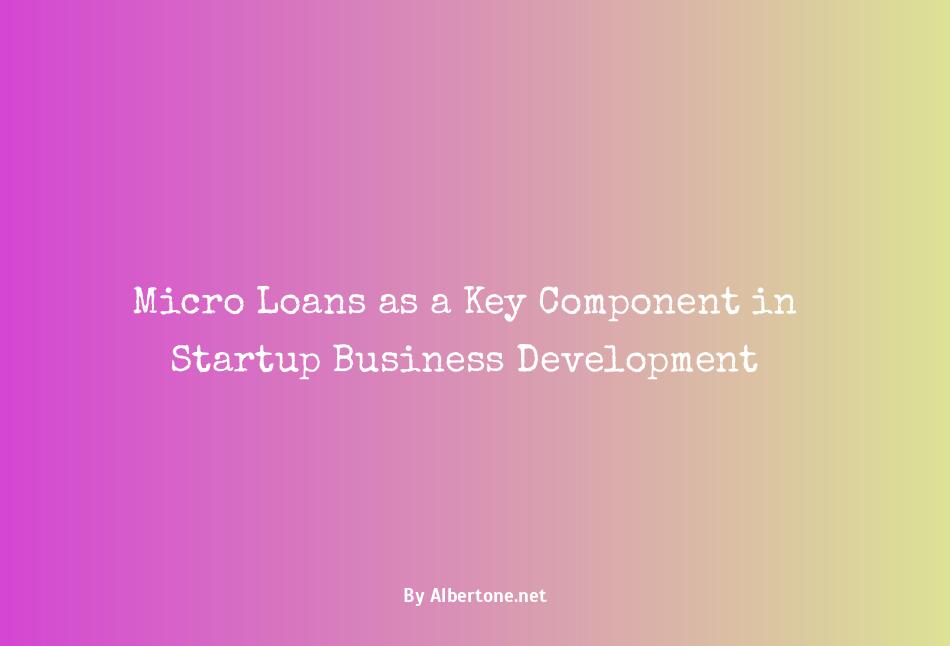 micro loans for startup business