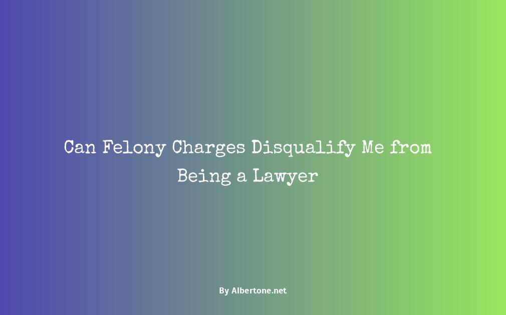 can you be a lawyer with a felony