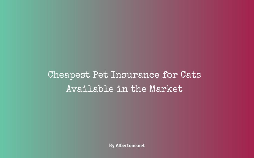 cheapest pet insurance for cats