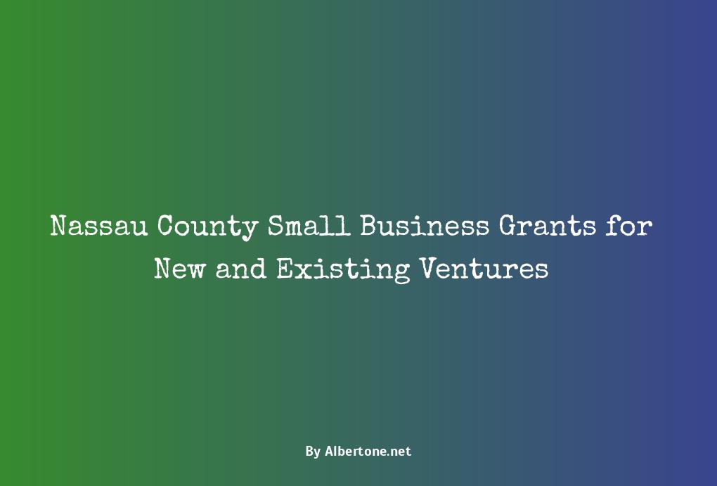 nassau county small business grants