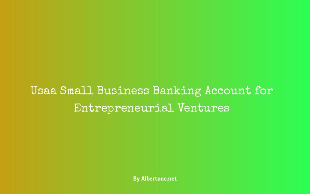 usaa small business account